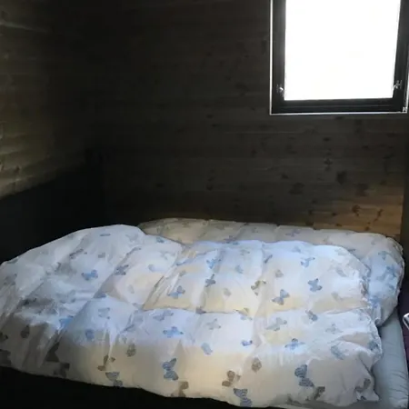 Hébergement de vacances Modern Cabin