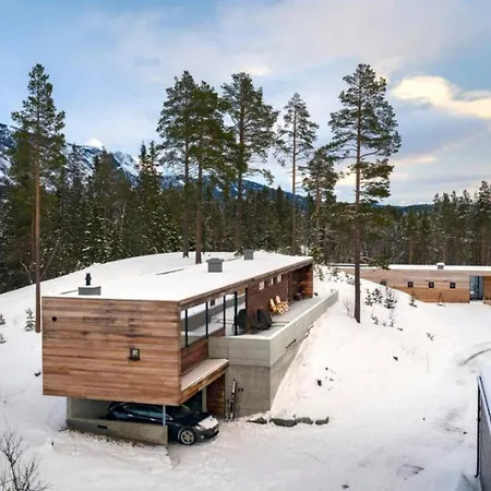 Modern Cabin * 海姆瑟达尔