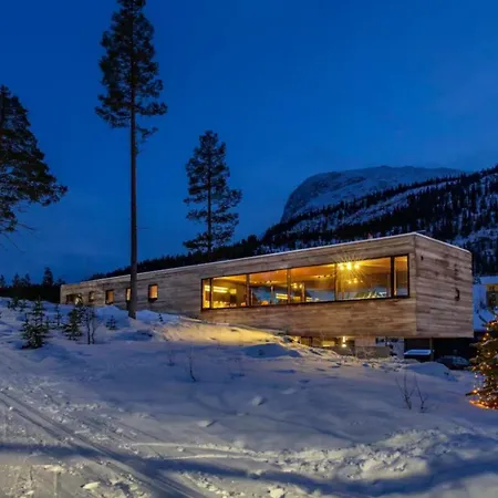Modern Cabin 海姆瑟达尔